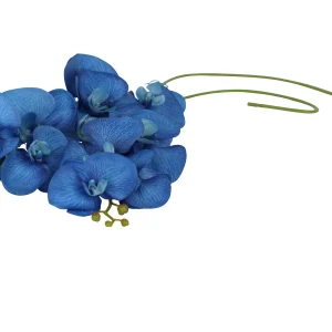 orchidée